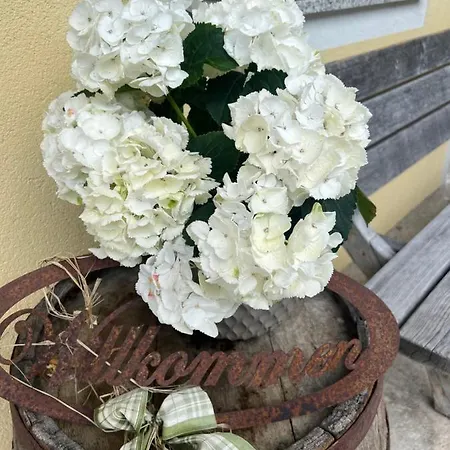 Platzhirsch Panorama View Balkon, Gartensauna, Garten, Grillplatz * Stumm