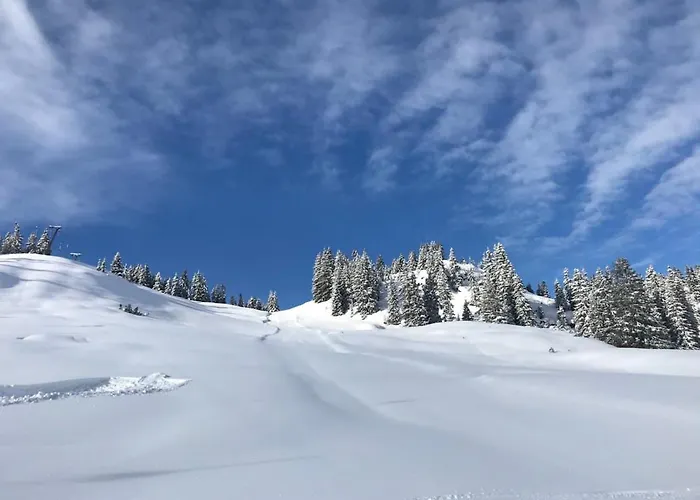 Platzhirsch Panorama View Balkon, Gartensauna, Garten, Grillplatz Stumm