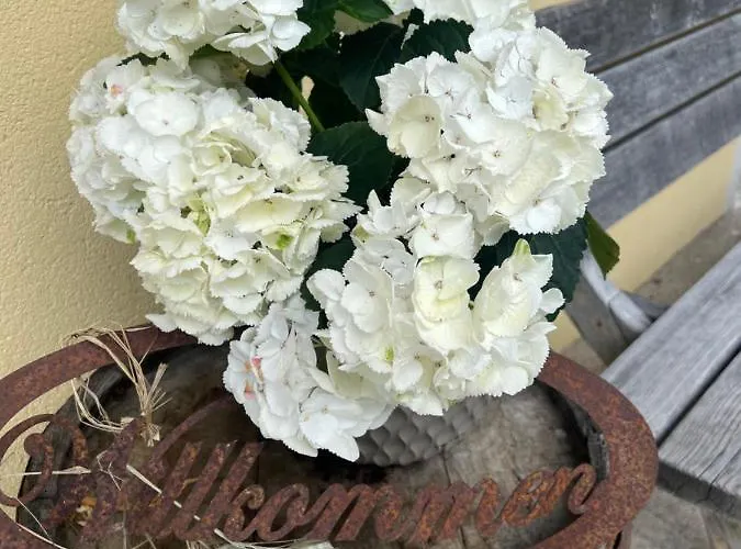 Platzhirsch Panorama View Balkon, Gartensauna, Garten, Grillplatz * Stumm