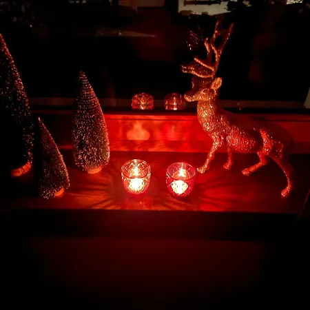 Platzhirsch Panorama View Balkon, Gartensauna, Garten, Grillplatz